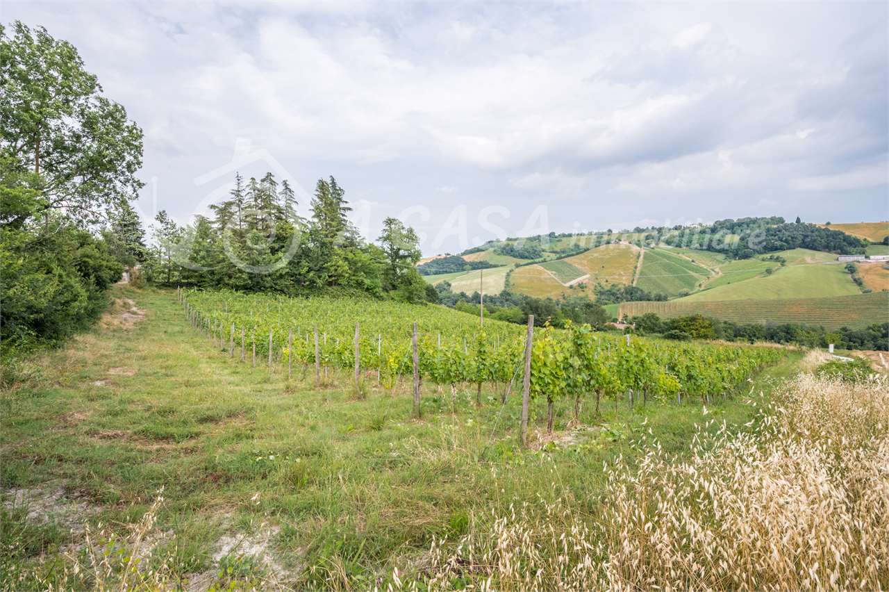VIGNETO