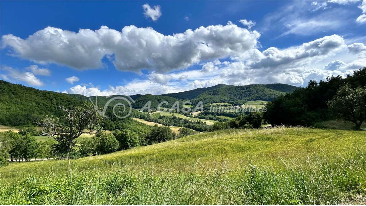 TERRENI AGRICOLI E BOSCHIVO