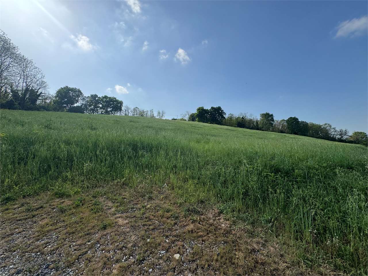 TERRENO AGRICOLO