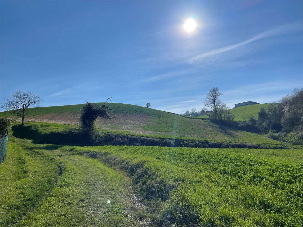 Terreno Agricolo