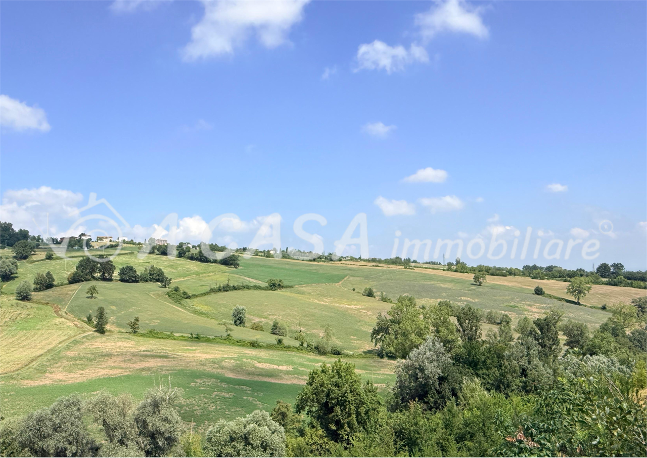 TERRENO AGRICOLO