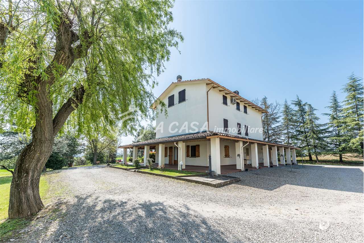 SPLENDIDA TENUTA INDIPENDENTE CON CAPANNONE E TERRENO